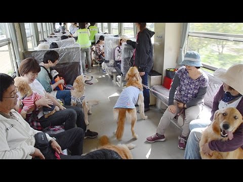 ひたちなか海浜鉄道のわんわん列車の次回の開催日の日程は 犬以外の動物の乗車は Tanoseek